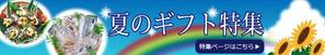 katsuran1220 (katsuran1220)さんのお魚販売サイトのバナー作成(２種類)への提案