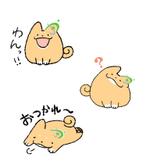 ひがにしん (higanishin)さんの女子学生の受けがよいロゴマークと豆柴を意識したLINEスタンプ作成への提案