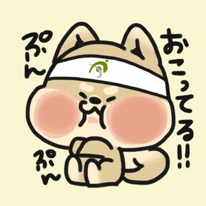 #さとうゆき (patyipatyi35)さんの女子学生の受けがよいロゴマークと豆柴を意識したLINEスタンプ作成への提案