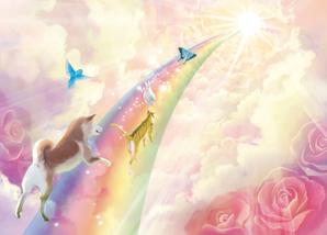 noen ()さんの虹の橋と動物の綺麗なイラストへの提案