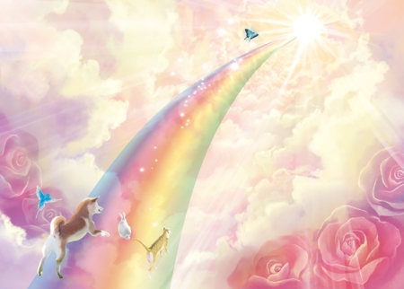 虹の橋と動物の綺麗なイラストの仕事 依頼 料金 イラスト制作の仕事 クラウドソーシング ランサーズ Id 1492936