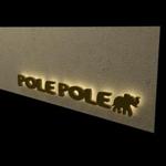 PLAdesignさんの「POLE POLE」のロゴ作成への提案