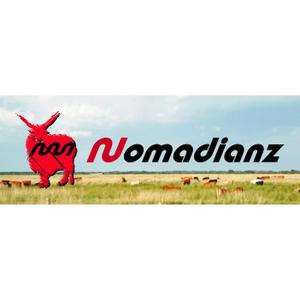 K&K (illustrator_123)さんのスポーツブランド「Nomadianz 」のロゴ作成への提案