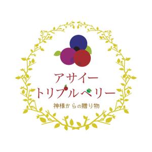 kurumi82 (kurumi82)さんの「神様からの贈り物　アサイートリプルベリー」のロゴ作成への提案