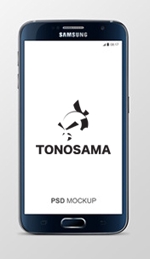 queuecat (queuecat)さんのWEB広告会社「TONOSAMA」のロゴへの提案