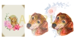 SK　 (sumirekana)さんの愛犬の最期の写真を、家族の思い出に、絵かイラストにして下さいへの提案