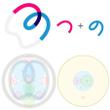 logo_TSUNO_CLINIC_Re-04.jpg