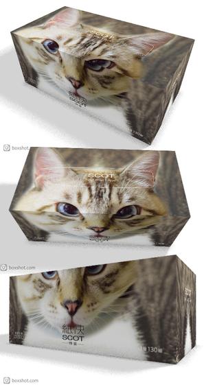 高田明 (takatadesign)さんの女性が好みそうなBOXティッシュのパッケージデザインへの提案