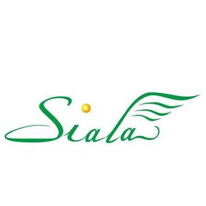 terabyteさんの「siala」のロゴ作成への提案