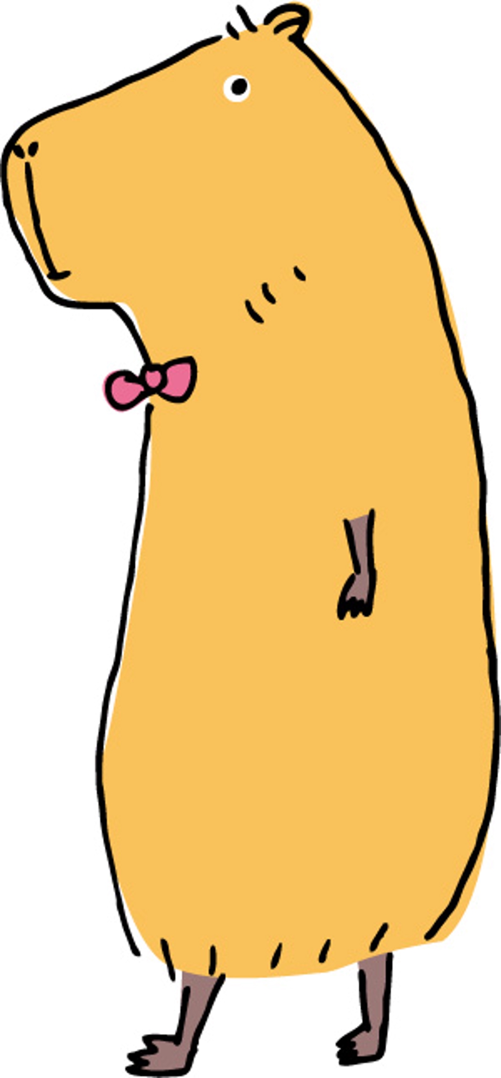 kapibara.jpg
