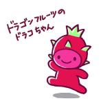chika (chika_yamamoto)さんのドラゴンフルーツのキャラクターへの提案