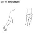 日羽つむる (ho18)さんの医療用教材　線画　イラスト制作　7図　SP8-4⑦への提案