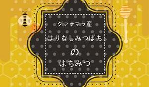 MIS Design (misa84246)さんの「グアテマラ産ハリナシミツバチのはちみつ」に貼付するラベルシールのデザインへの提案