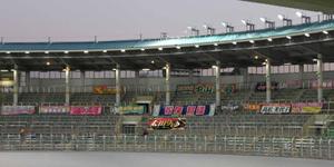 B_M_Graphix (B_M_Graphix)さんの女子プロスポーツ選手応援横断幕のデザインへの提案