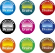 brains8.jpg