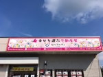 Takashi Maeda (TakashiMaeda)さんの「株式会社桜リアルティ」の店舗看板のデザイン作成依頼への提案