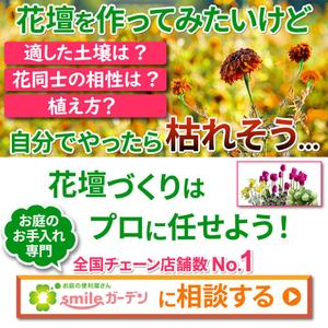 TOP55 (TOP55)さんのメディアサイト用送客バナーのデザインへの提案