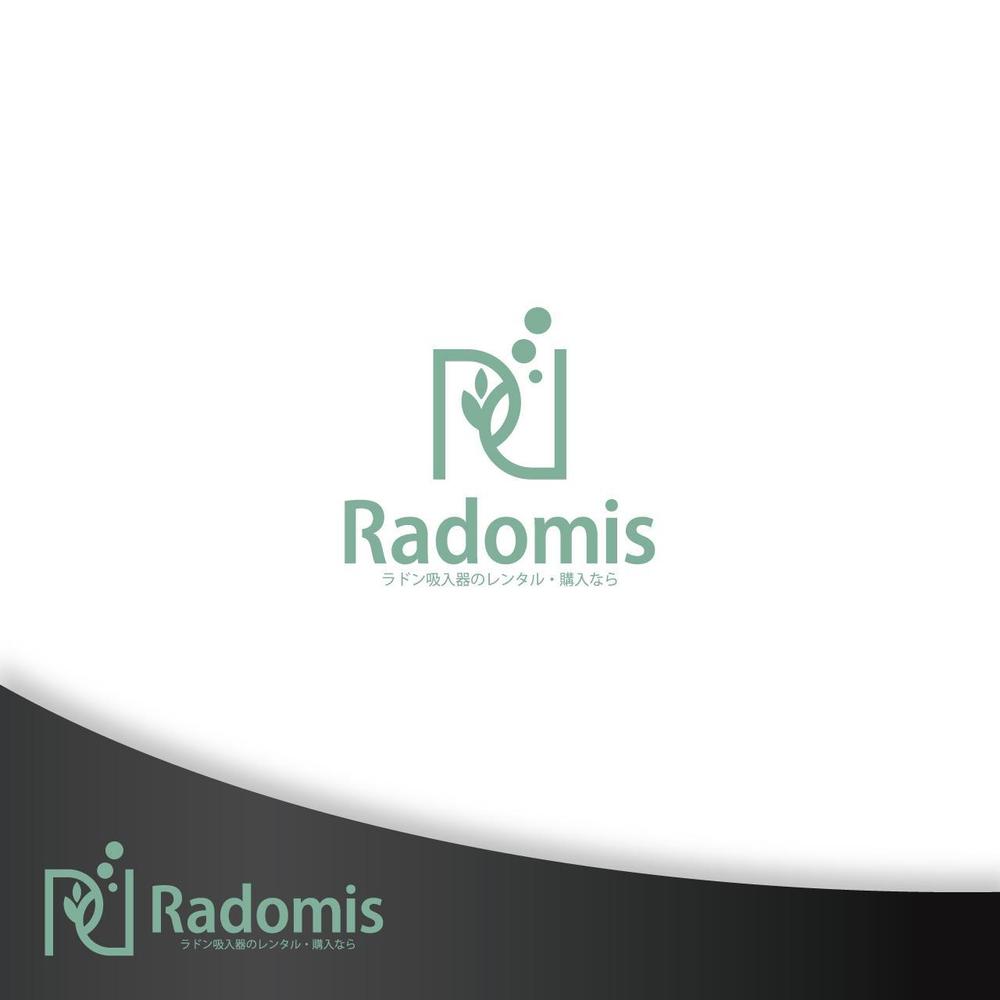 Radomis01-01.jpg