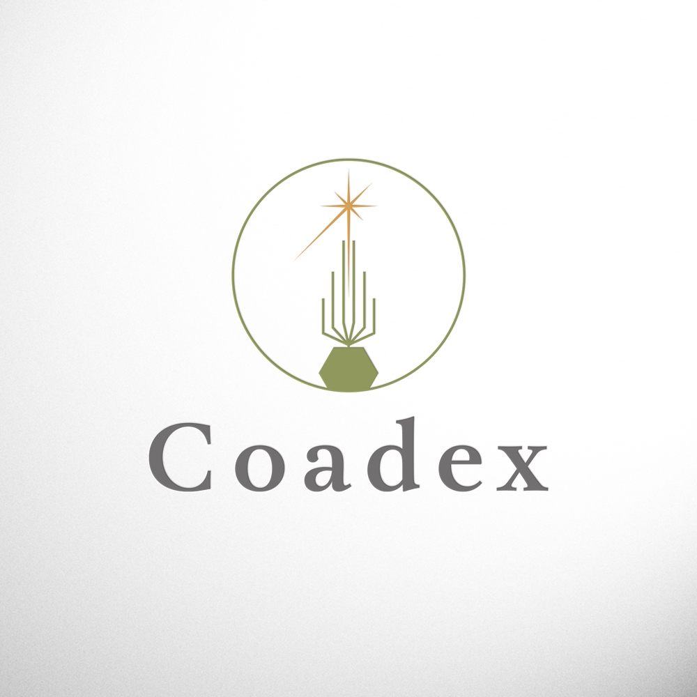 Coadex3.jpg