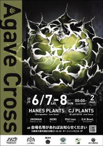 dbqpさんのアガベ(植物)のイベントポスターをお願いします。への提案
