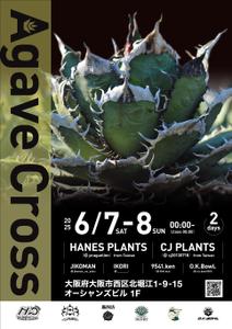 dbqpさんのアガベ(植物)のイベントポスターをお願いします。への提案
