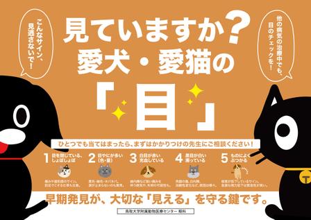 ryoデザイン室 (godryo)さんの獣医眼科疾患の飼い主への説明パネルの作成もしくはブラッシュアップへの提案