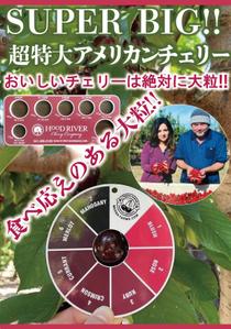 ハッピー60 (happy6048)さんの青果売場に飾る「チェリーは大粒がおいしい！」ポスターへの提案