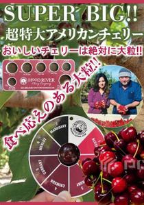 ハッピー60 (happy6048)さんの青果売場に飾る「チェリーは大粒がおいしい！」ポスターへの提案