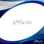 Zeross Design (zeross_design)さんの西大寺運送のロゴをもとにsaiun HD のワードロゴを作りたいです。への提案