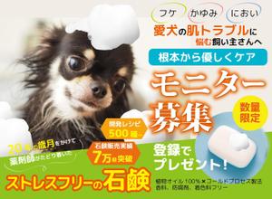 LeBB_23 (LeBB_23)さんのランディングページのヘッダーデザインへの提案
