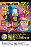 TNaito (TNaito)さんの弊社のオリジナル製品の「MAGI-Poly(マジポリ)」の広告用のチラシのデザインのお願いへの提案