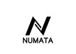 NUMATA-03.jpg