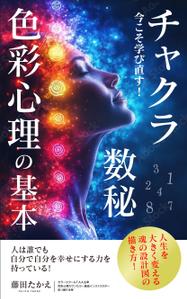 ace grafixs (ace-g)さんのKindle本の表紙デザインへの提案