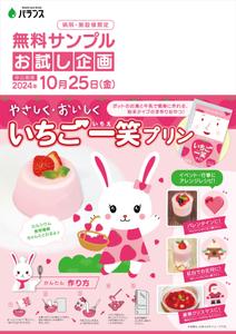 SAITO DESIGN (design_saito)さんのいちごプリンの素 DMチラシ制作依頼への提案