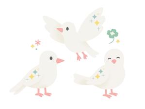aotake, (ohana_tsumugi)さんの白い小鳥のキャラクター制作【児童福祉向け】への提案
