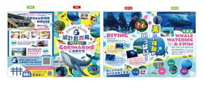 miro (jyunya1002)さんの奄美大島のダイビングと宿のサービスを紹介するチラシの作成（B5折り）への提案