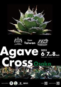 mifa (mifa-sora)さんのアガベ(植物)のイベントポスターをお願いします。への提案