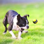 菊原浩司 (Fujitagawa)さんの家具写真をレタッチしてくださる方大募集！への提案