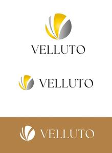 田中　威 (dd51)さんの高級車販売　VELLUTO のロゴへの提案