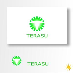 shyo (shyo)さんの電気工事会社「TERASU」のロゴへの提案