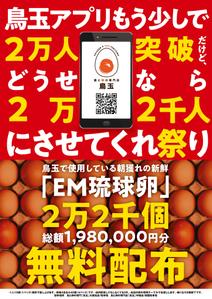 higa (honwaka232)さんの「鳥玉アプリ、もう少しで２万人突破だけど、どうせなら2万２千人にさせてくれ祭り」のフライヤーデザインへの提案