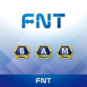 e-design (emi_nov)さんの神経科学に基づくトレーニング「FNT」Functional Neuro Training のロゴへの提案