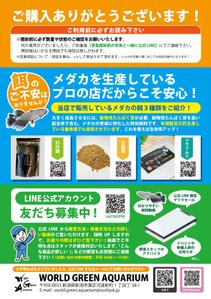 沙月 (AOI_01)さんのメダカ屋の同梱チラシの作成依頼への提案