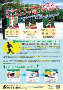 adstock (sakaimasanobu370)さんのオンライン野球スクールの集客チラシ【別商品購入者の同梱物】への提案