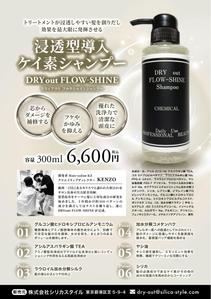 飯田 (Chiro_chiro)さんのシャンプーのカタログへの提案
