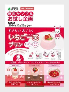 Harayama (chiro-chiro)さんのいちごプリンの素 DMチラシ制作依頼への提案