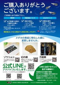 Harayama (chiro-chiro)さんのメダカ屋の同梱チラシの作成依頼への提案