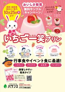 ichi (ichi-27)さんのいちごプリンの素 DMチラシ制作依頼への提案