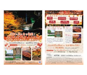 Numa_graphics (numa_3)さんの滋賀県立美術館ナイトツアー募集チラシへの提案