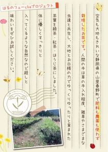 駿 (syuninu)さんのお茶の自然栽培(農薬肥料無仕様の緑茶・ほうじ茶・紅茶）の案内用への提案
